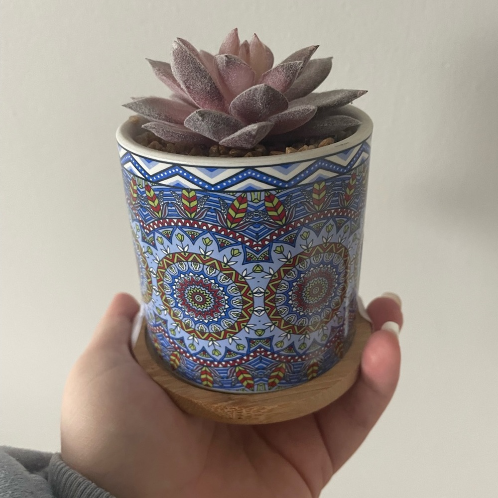 Blue Mandala Ceramic Planter with Faux Succulent
